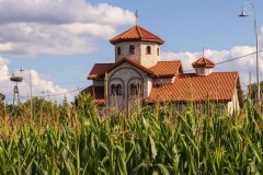 IMG_0476