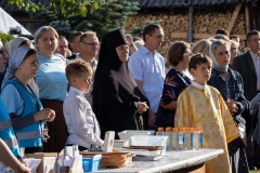 IMG_5442